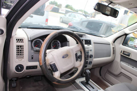 2009 Ford Escape XLT