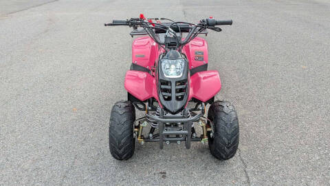 2024 TrailMaster Mini 110 Sport