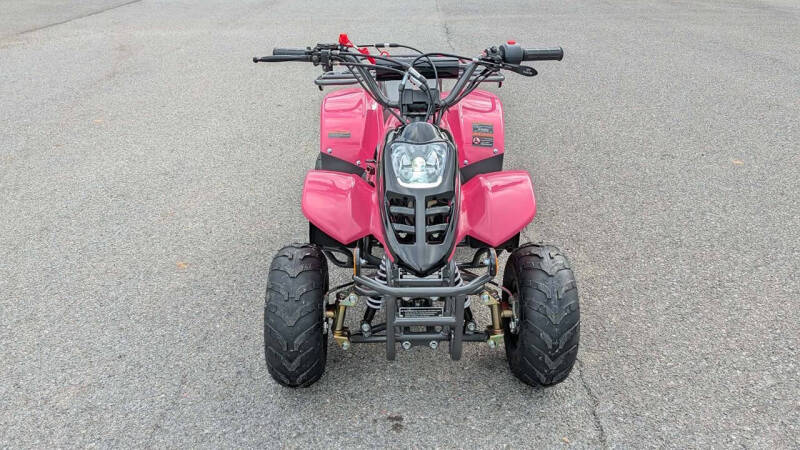 2024 TrailMaster Mini 110 Sport