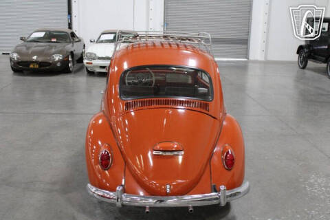 1965 Volkswagen Beetle