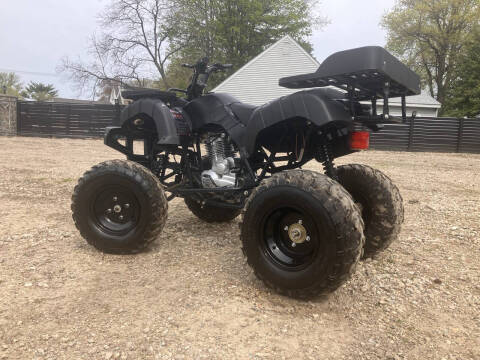 2016 Tao Tao Rhino 250