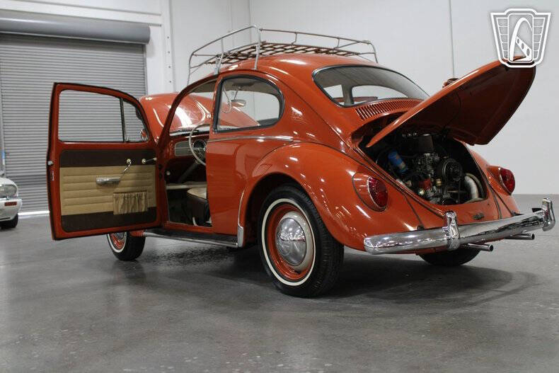 1965 Volkswagen Beetle