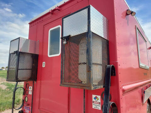 2009 Workhorse W62