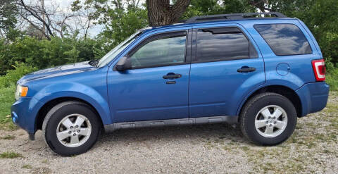 2010 Ford Escape XLT