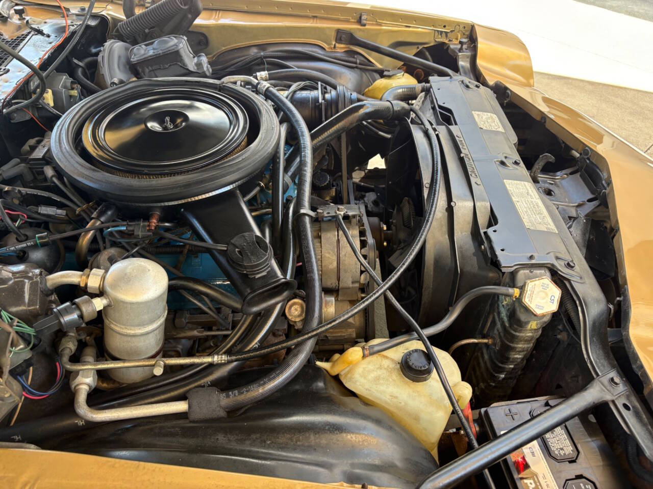 1980 Chevrolet Camaro 22