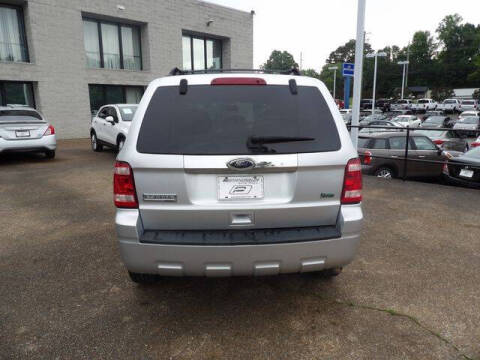 2010 Ford Escape Limited