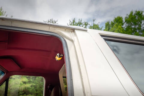 1988 Ford Bronco XLT