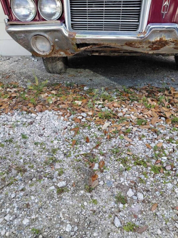 1971 Oldsmobile Cutlass