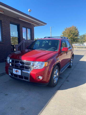 2010 Ford Escape for sale at CARS4LESS AUTO SALES in Lincoln NE