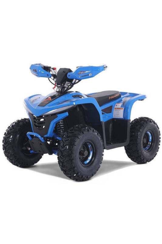 2025 Denago E-Hawk 6