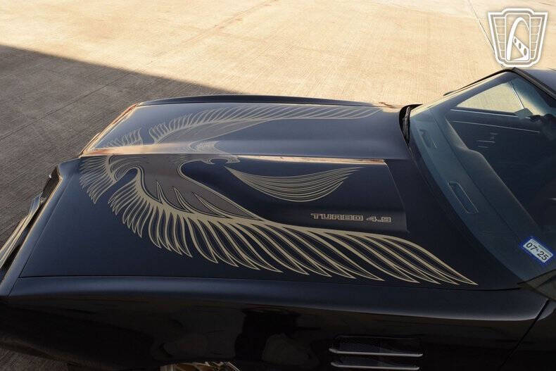 1981 Pontiac Firebird Trans Am