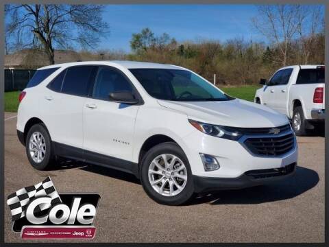 2019 Chevrolet Equinox for sale at COLE Automotive in Kalamazoo MI