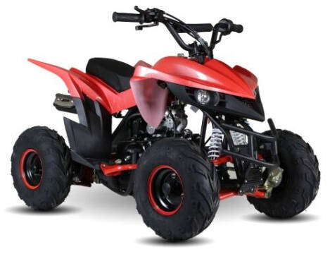 2020 110 Atv Fully Automatic Sport Quad 4 Wheeler