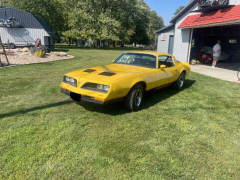 1978 Pontiac Firebird for sale at Classic Car Deals in Cadillac MI