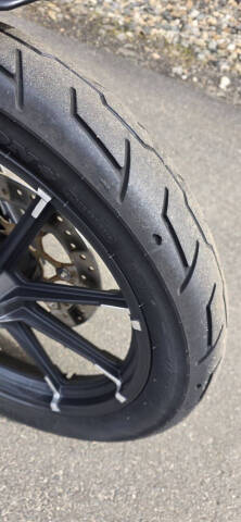 2020 Harley-Davidson XL883N  IRON 883