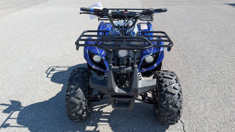 2026 TrailMaster B125
