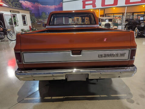 1981 Chevrolet C/K 10 Series C10 Silverado