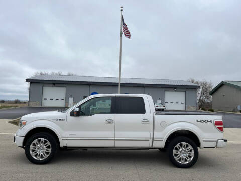 2013 Ford F-150 for sale at Alan Browne Chevy in Genoa IL