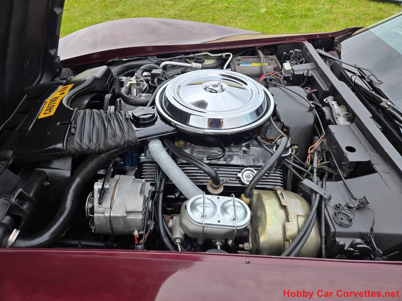 1981 Chevrolet Corvette 69