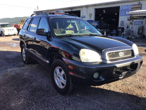 2004 Hyundai Santa Fe for sale at Troy's Auto Sales in Dornsife PA