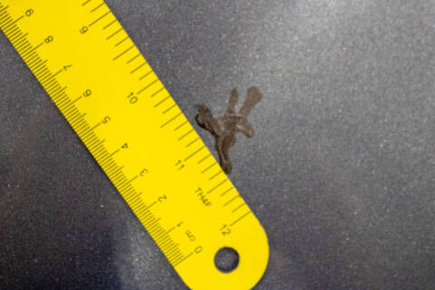 2007 Mazda MX-5 Miata Sport