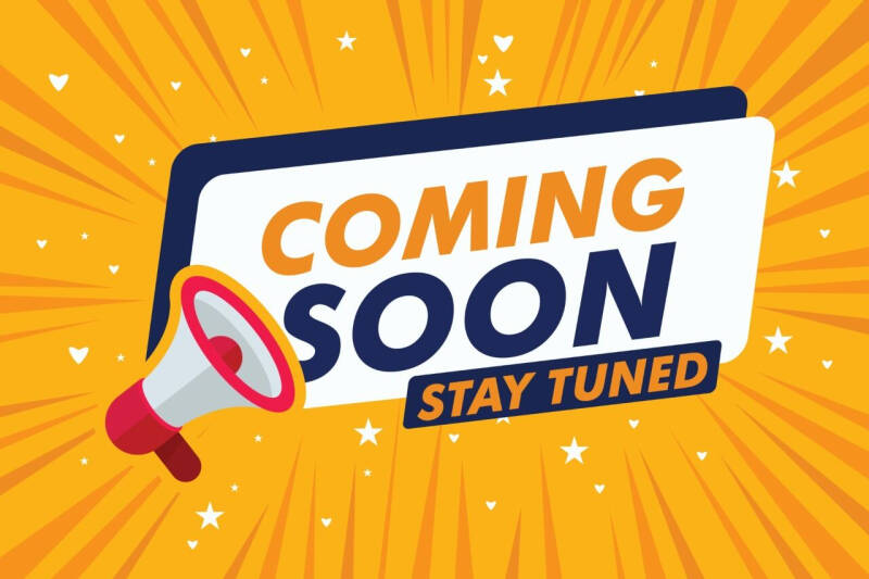 2008 Suzuki GSX-R1000