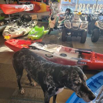 2021 JACKSON KAYAK STAXX for sale at Dukes Automotive LLC in Lancaster SC