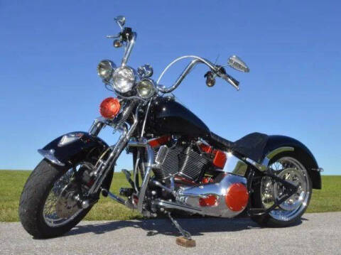 2002 Harley-Davidson FLSTS Heritage Springer