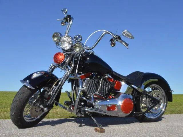 2002 Harley-Davidson FLSTS Heritage Springer