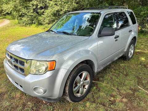 2009 Ford Escape XLT