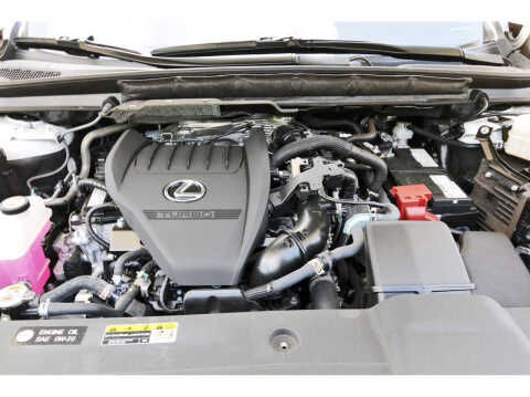 2025 Lexus RX 350 Luxury