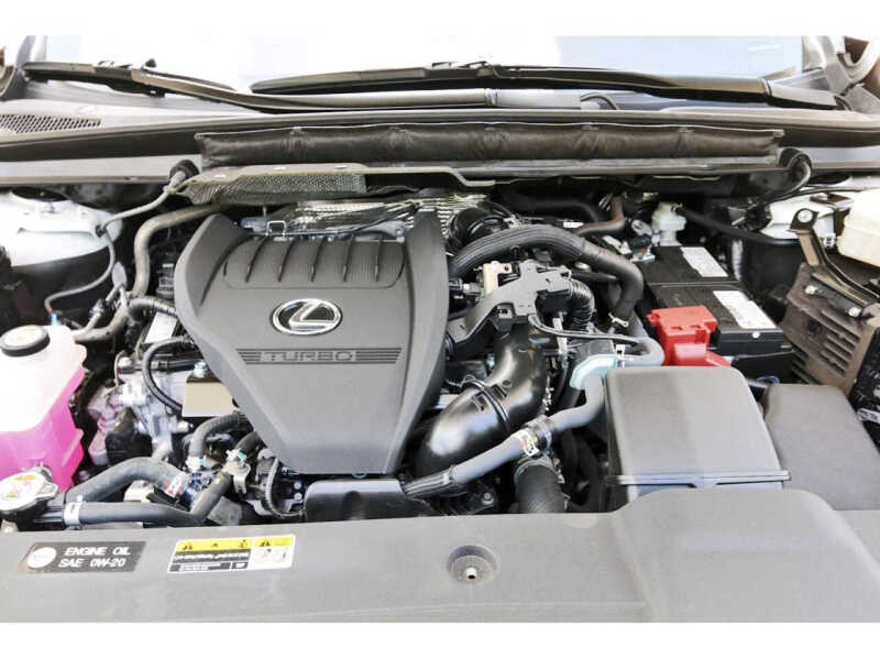 2025 Lexus RX 350 Luxury
