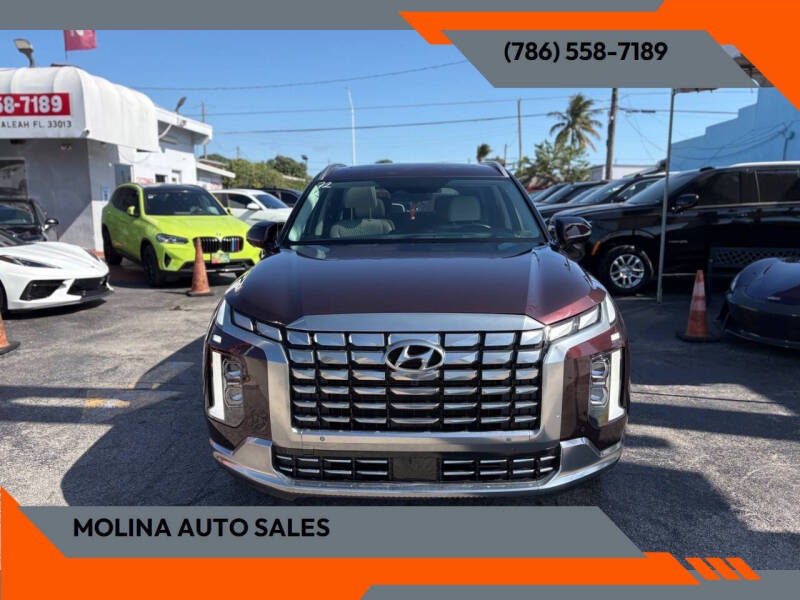 2024 Hyundai Palisade Calligraphy