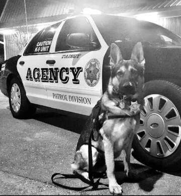 2020 Ford Explorer Police Interceptor Utility