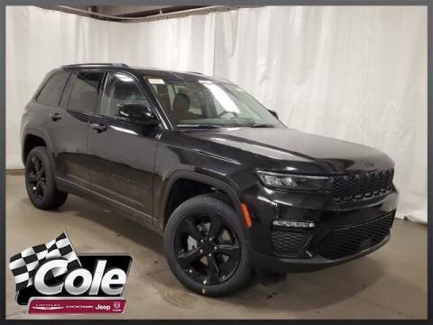2023 Jeep Grand Cherokee for sale at COLE Automotive in Kalamazoo MI