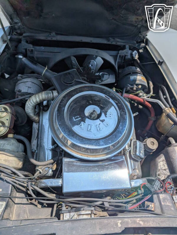 1977 Chevrolet Corvette