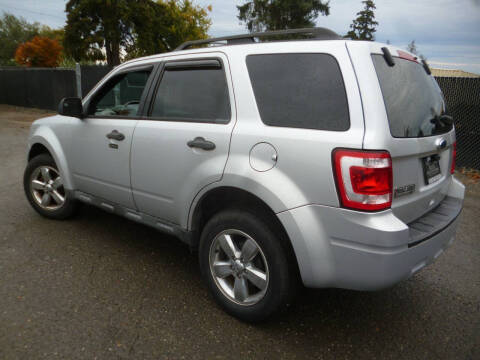 2010 Ford Escape XLT