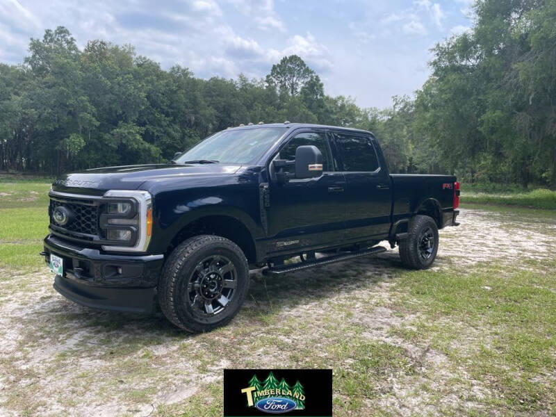 2023 Ford F-250 Super Duty for sale at TIMBERLAND FORD in Perry FL