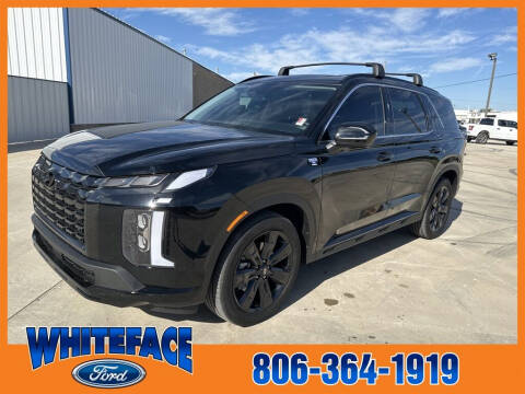 2023 Hyundai Palisade for sale at Whiteface Ford in Hereford TX