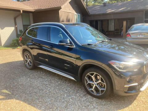 2018 BMW X1 for sale at Access Auto in Cabot AR