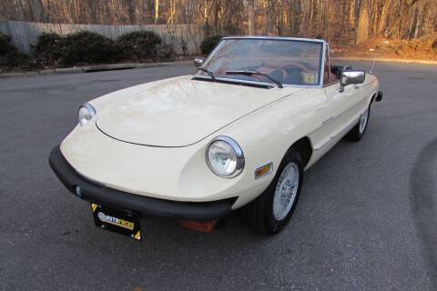 1981 Alfa Romeo Spider for sale at AUTO FOCUS in Greensboro NC