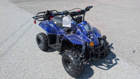 2025 TrailMaster Mini 110 Sport