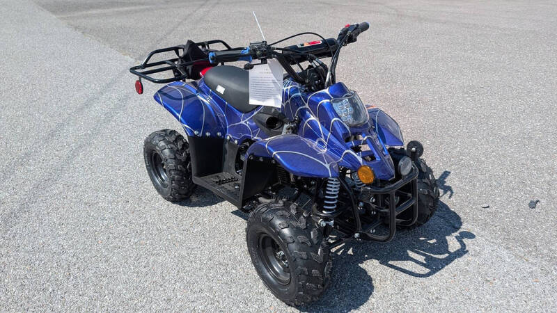 2025 TrailMaster Mini 110 Sport