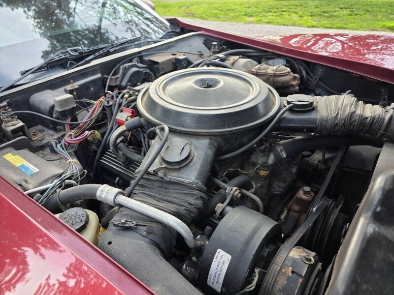 1981 Chevrolet Corvette
