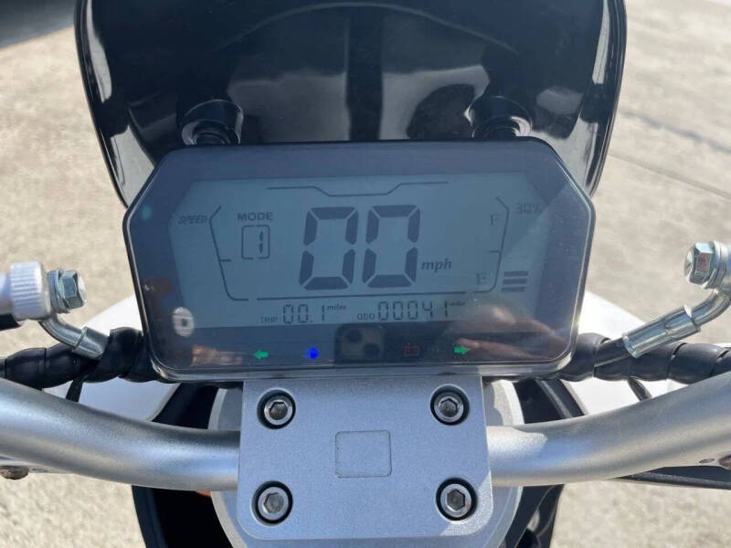 2020 Zebra E-bike
