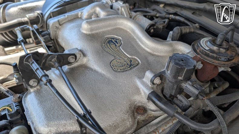 1999 Ford Mustang SVT Cobra