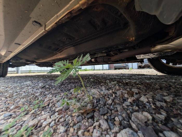 2003 Subaru Outback