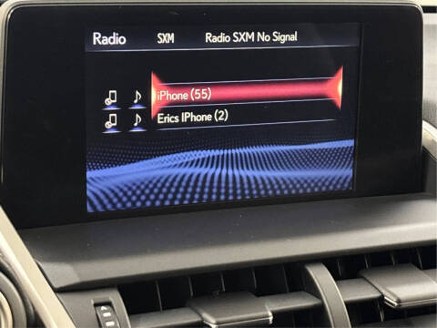 2019 Lexus NX 300 F SPORT