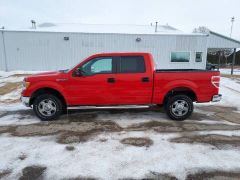 2013 Ford F-150 for sale at Steve Winnie Auto Sales in Edmore MI