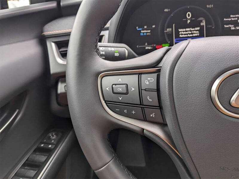 2025 Lexus UX 300h Premium